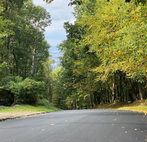 Fiddlers Elbow from Ridge Road Bike Climb - PJAMM Cycling