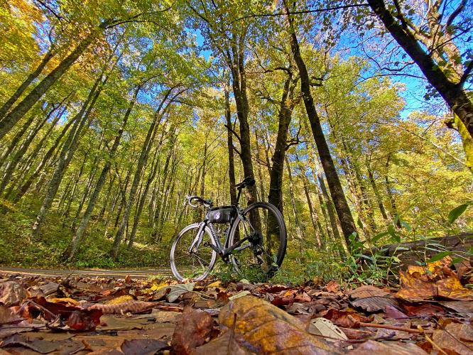 Wolfpen Gap East Bike Climb - PJAMM Cycling