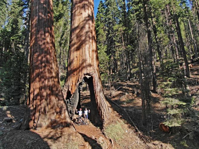 Whitaker Forest Bike Climb - PJAMM Cycling