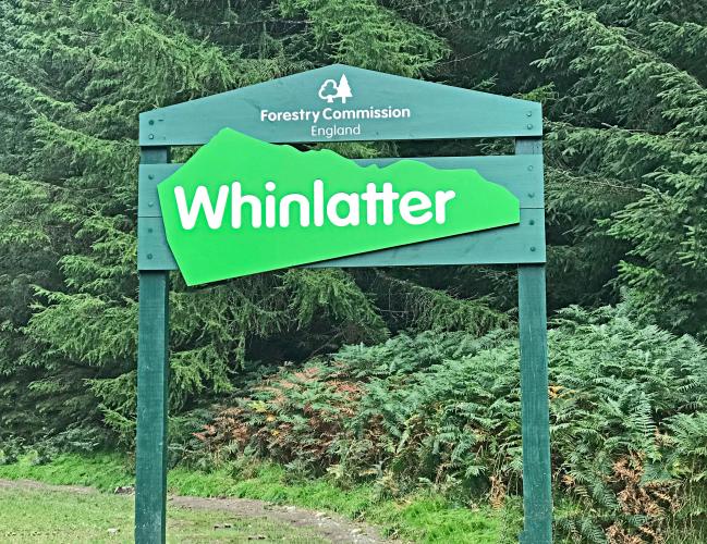 Whinlatter Pass (SW #82) Bike Climb - PJAMM Cycling