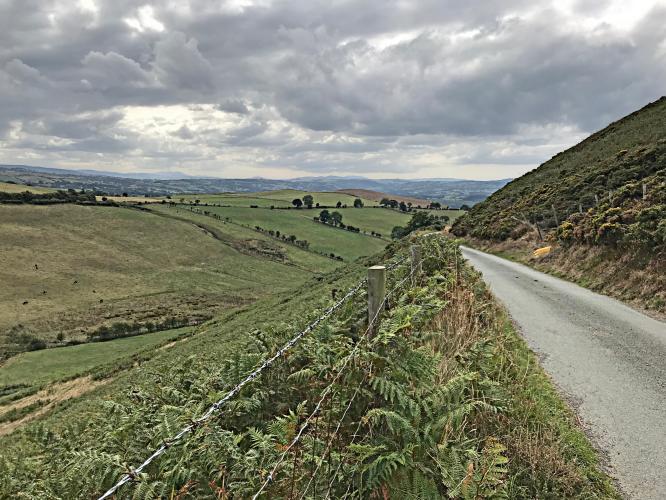 The Shelf (SW #86) Bike Climb - PJAMM Cycling